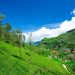 Bagdogra is close to Darjeeling in India